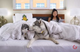 Woman has a Moment of Lady Relaxes in Bed with Dog under Duvet - Professional Photographer Lifestyle Photography Wardrobe Stylist