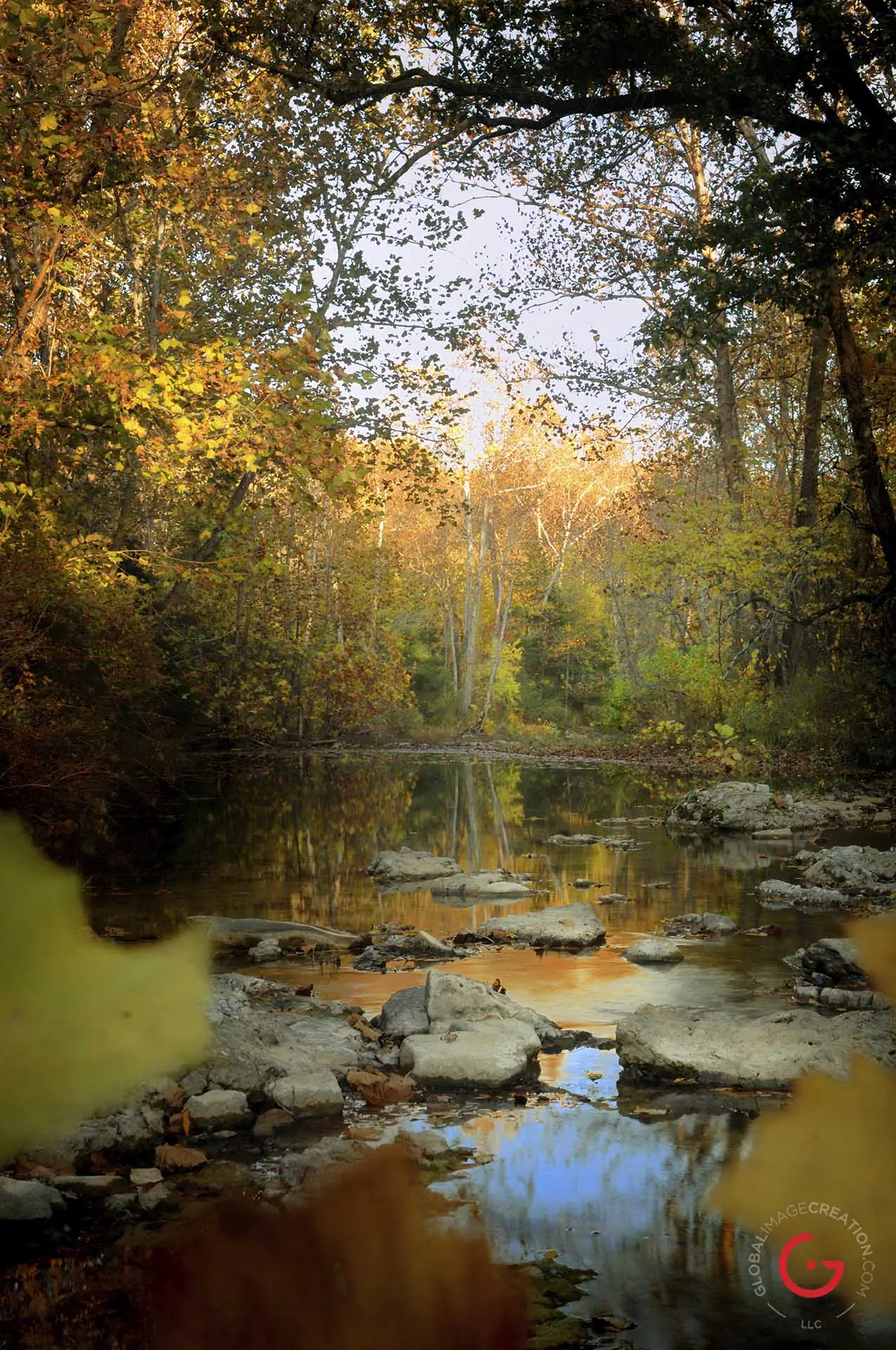 A creek flows thru the fall colors of the Ozarks. - Advertising photographers in Branson Missouri, Branson Missouri photography
