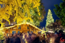 Hotel Baur au Lac Zurich Switzerland Christmas Tree Lighting